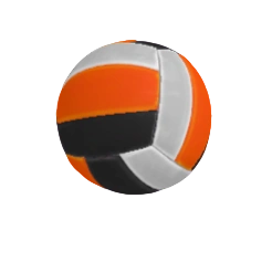 Orange Black White Ball